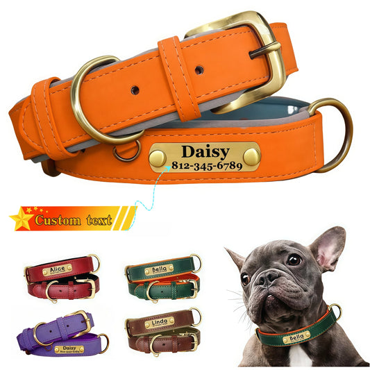 Collari per cani in pelle personalizzabili Targhetta personalizzata incisa, collare imbottito morbido con etichetta identificativa personalizzata, regolabile per tutti gli animali domestici